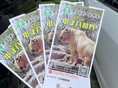 -秦皇岛野生动物园
