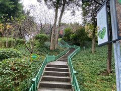 -乌山风景区