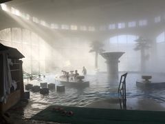 -仁爱团泊湖温泉中心