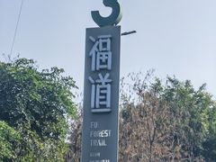 -福道