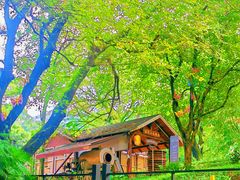 -广州市白云山风景名胜区