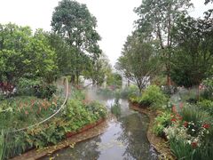 -深圳仙湖植物园