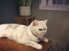 -研途咖啡馆(健康路店)