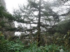 -白草畔自然风景区