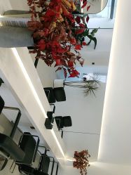 -SalonRivelin 沙龙瑞菱