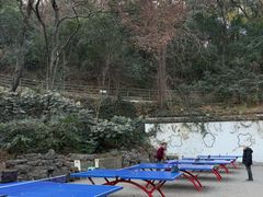 -伯先公园