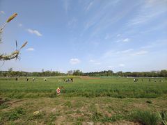 -白鹭湾湿地公园