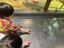 -酷嗒动物文化乐园(cutezoo西溪乐天城店)