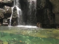 -台州海洋世界