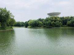 -上海佘山世茂艾美酒店