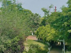 -府河摄影公园