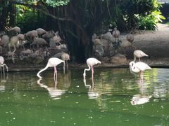 景点-九龙公园