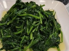 -正兴蜀园(科技园区店)