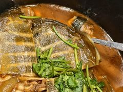 甲鱼-走马楼饭庄(慈城古县城店)