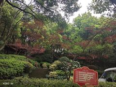 -杭州半山国家森林公园
