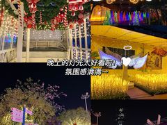 -巨鹏飞梦幻海岸