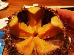 -樂涧·蓝鰭金枪鱼料理(生态园店)