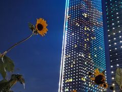 -东港音乐喷泉广场