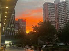 -远洋未来汇