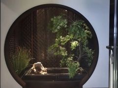 -见康道莱•足浴按摩•艾灸•SPA(友谊店)