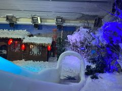 -西安曲江海洋极地公园