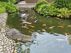 -新加坡泛太平洋酒店