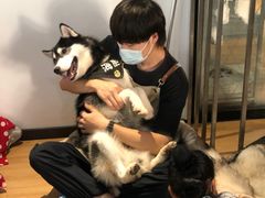 -Husky Go! 哈士奇体验馆·宠物咖啡厅狗咖