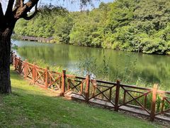-白马涧龙池景区