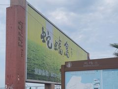 -蛇蟠岛
