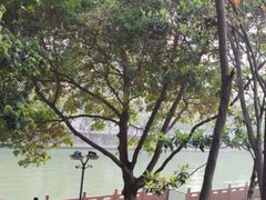 -成都市活水公园