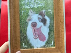 -海底捞火锅(百乐门广场店)