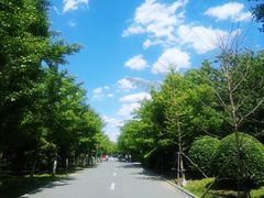 -长白岛森林公园