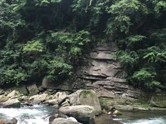 -黎坪国家森林公园