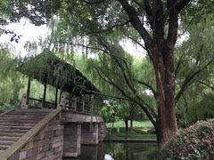 -阮氏酒家(柯桥店)