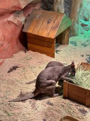 -Zoolung Zoolung动物主题公园(海信广场店)