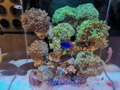 -Rabbit Cafe私房西餐甜点咖啡(栖霞路店)