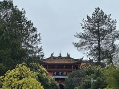 -铁山坪森林公园