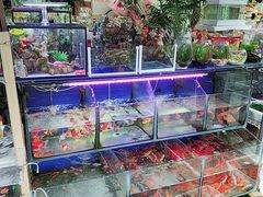-曲阳花鸟市场(曲阳路店)