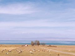 -青海湖国家重点风景名胜区
