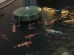 -爱乐国际温泉水疗会