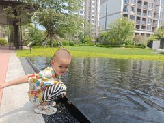 -里外里吃吧