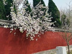 -小放牛炒菜馆(北国商城店)