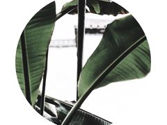 -黎阳老街