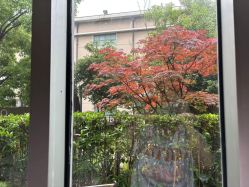 -馨月汇·一悦馨香月子中心(前滩店)