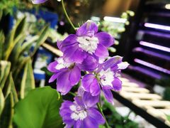 -坂田手造文化街