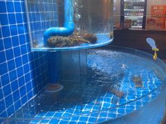 -乌糖沙茶面(民族路店)