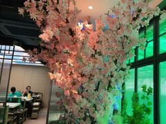 -野妹火锅(龙岗店)