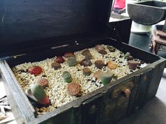 iphone_upload_pic-漫渡庄绿岛花园•隐世庭园菜(滨湖店)