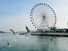 -琴岛之星摩天轮