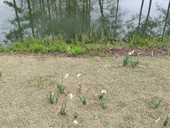 -徐家汇源景区-衡山公园